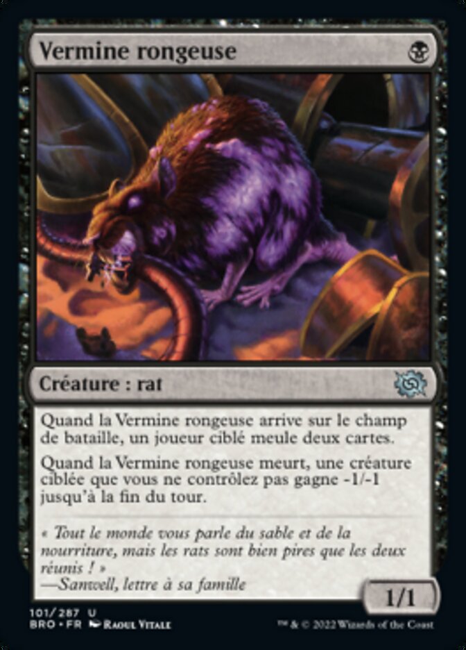 image Vermine rongeuse