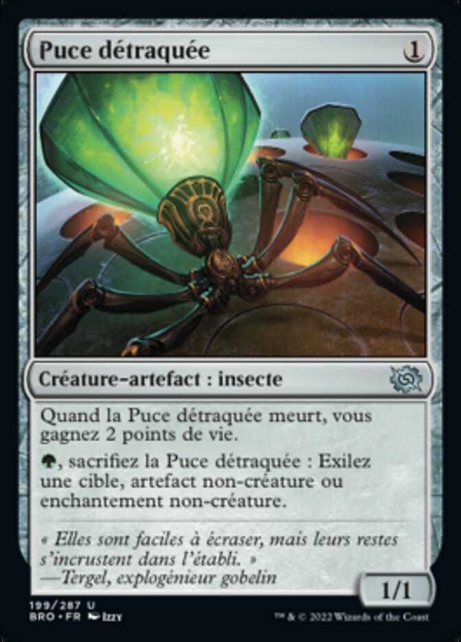 image Puce détraquée