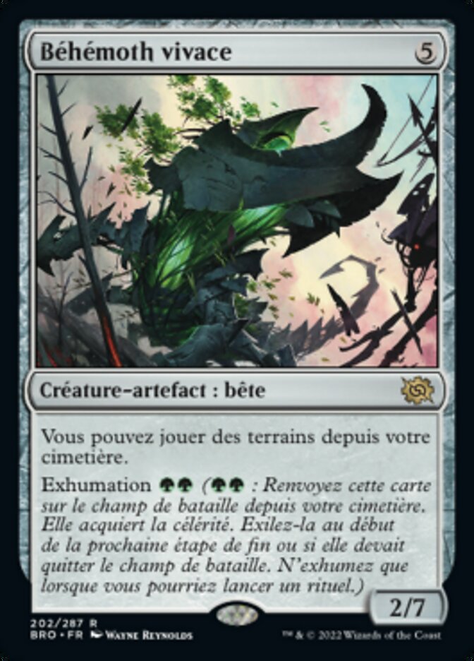 image Béhémoth vivace