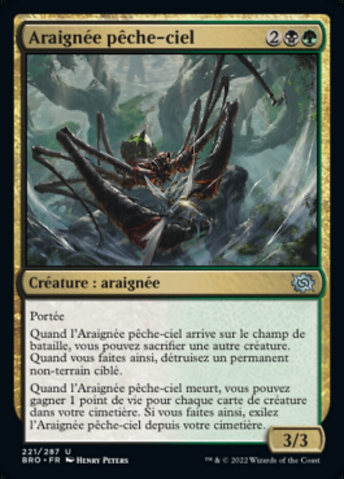 image Araignée pêche-ciel