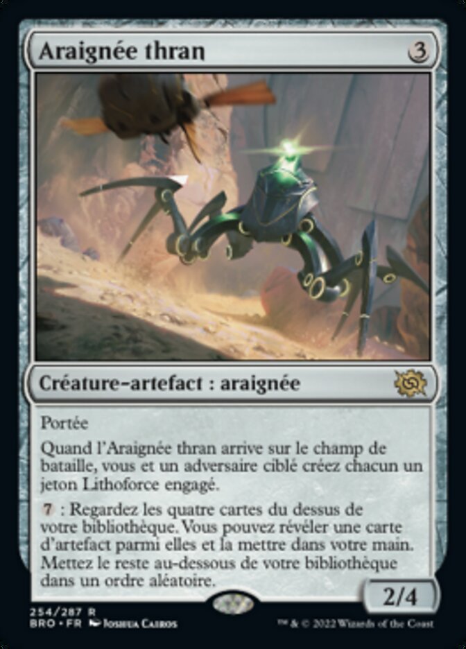 image Araignée thran