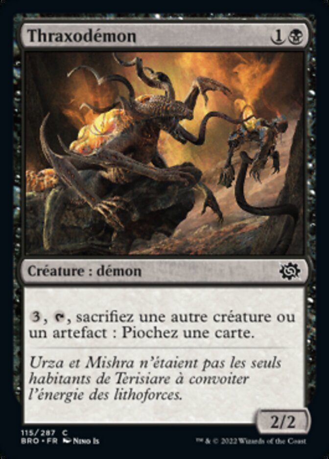 image Thraxodémon