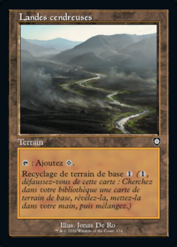 image Landes cendreuses