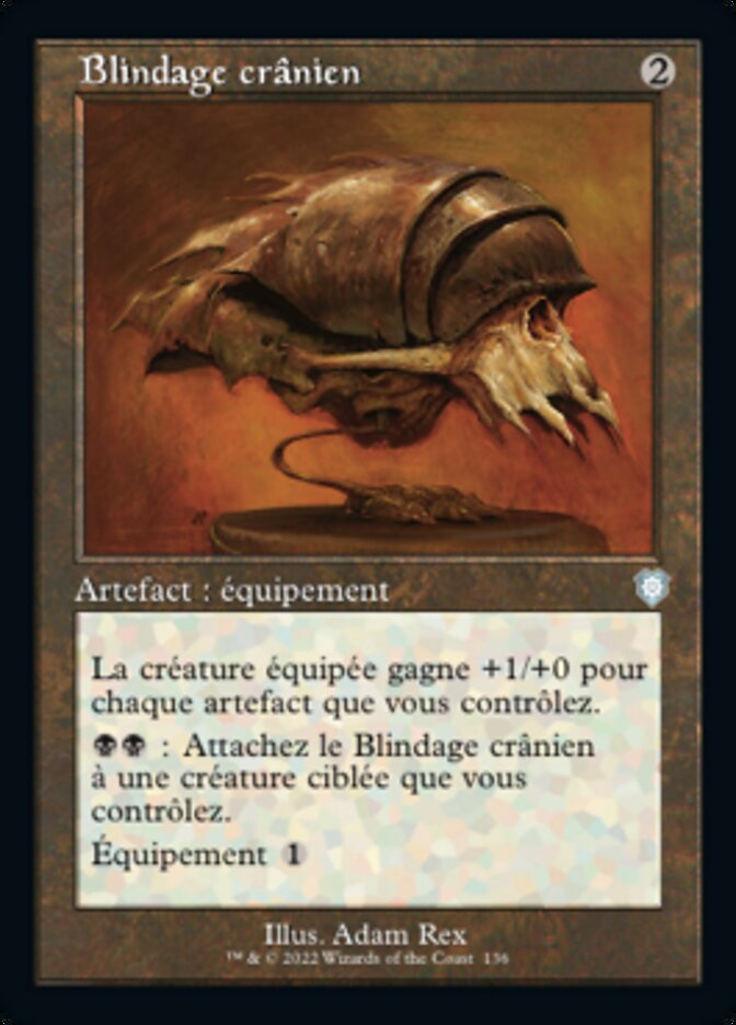 image Blindage crânien