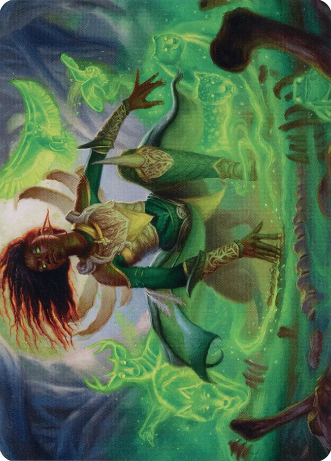 image Fauna Shaman // Fauna Shaman