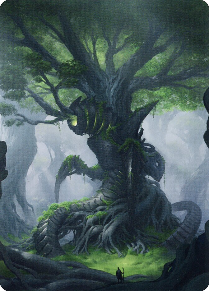 image Forest // Forest