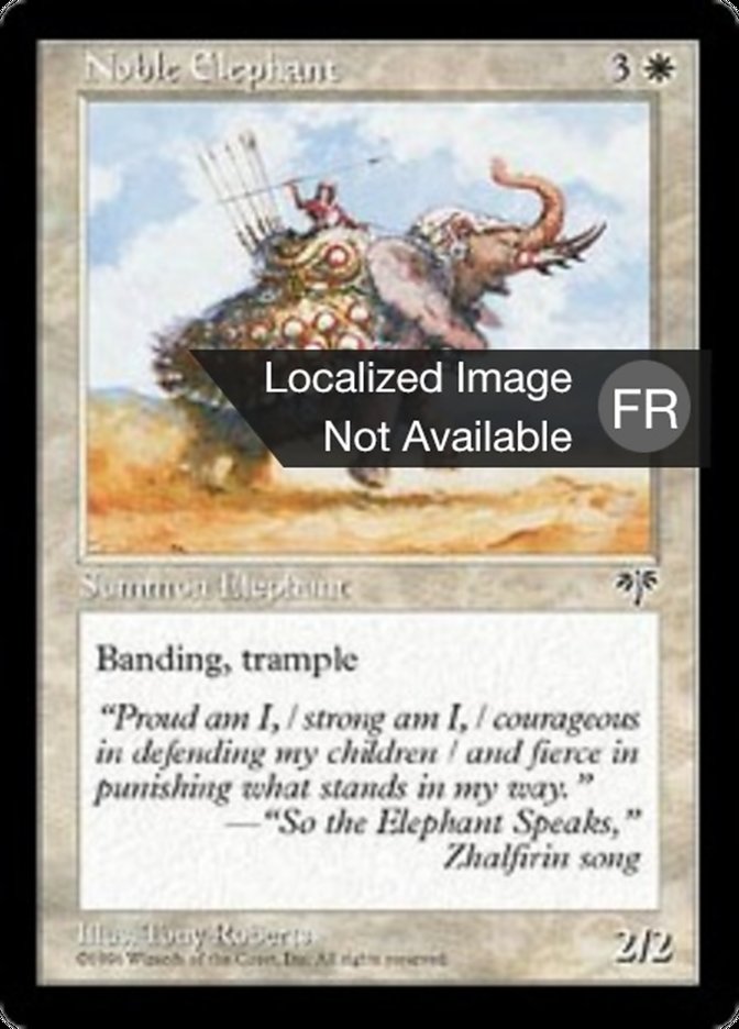 image Eléphant noble