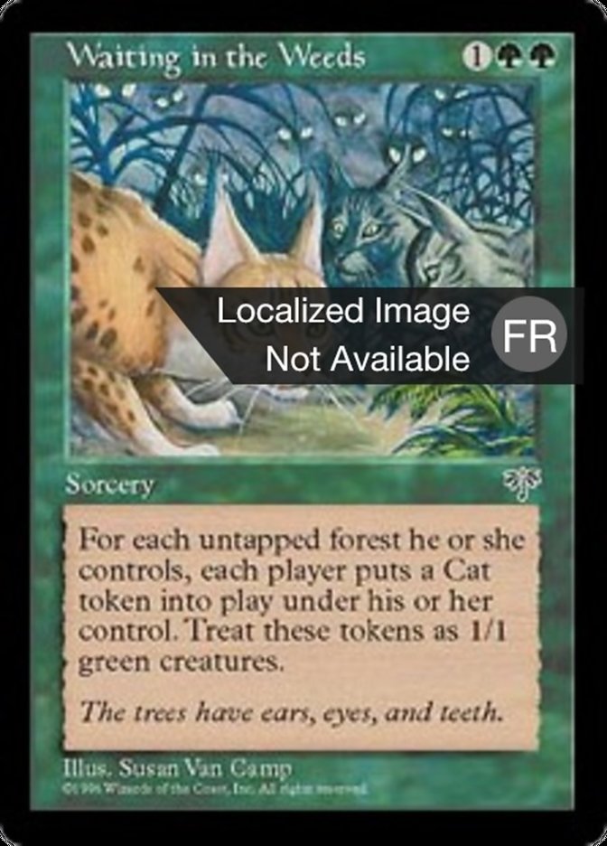 image Caché sous les herbes folles