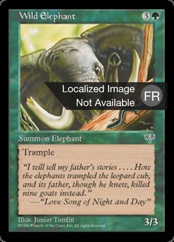 image Eléphant sauvage