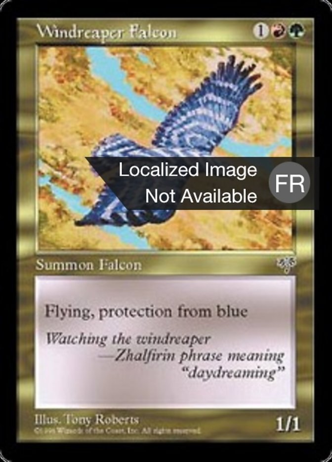 image Faucon fauchevent