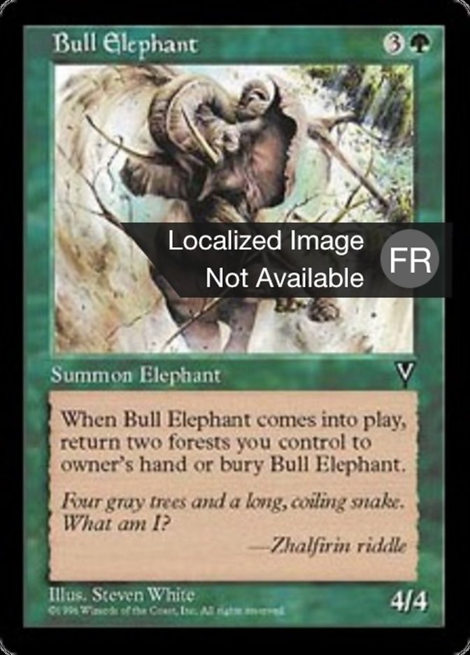 image Eléphant mâle