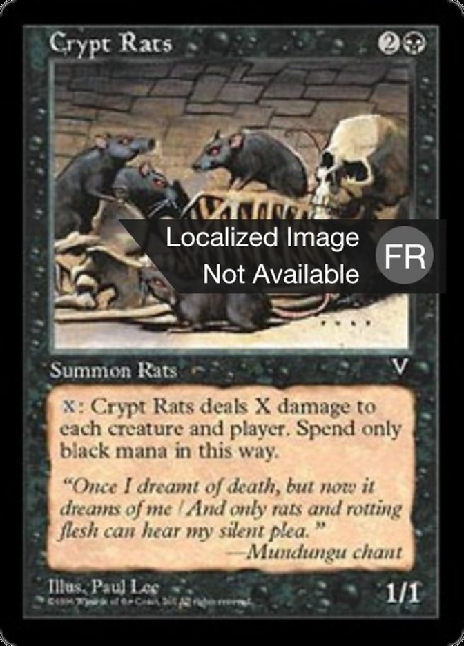 image Rats des cryptes