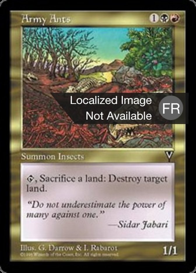 image Fourmis guerrières