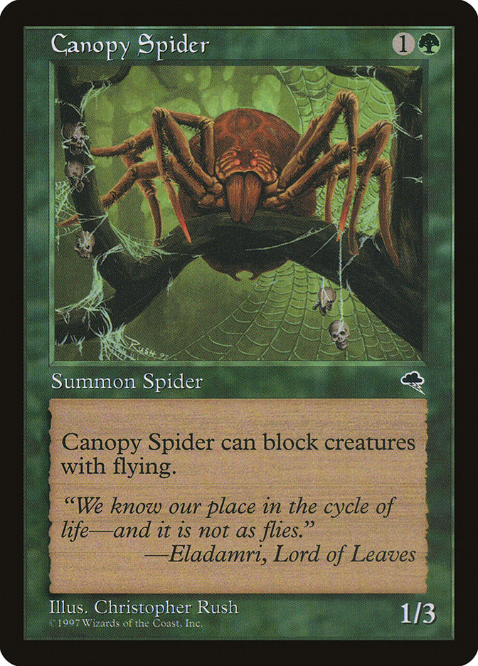 image Canopy Spider