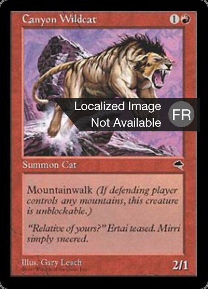 image Chat sauvage des canyons