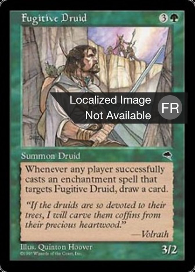 image Druide fugitif