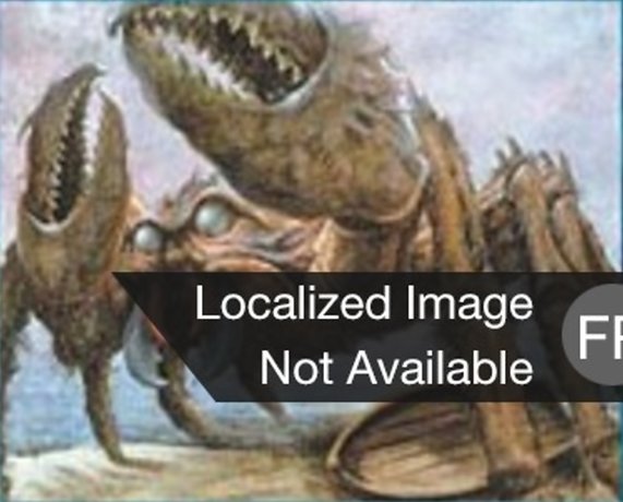 Crabe géant