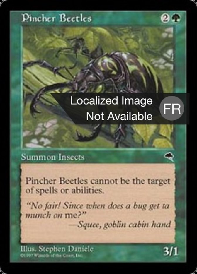 image Scarabées à pinces