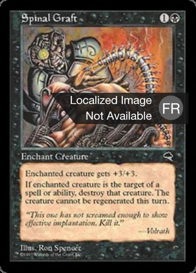 image Greffe spinale