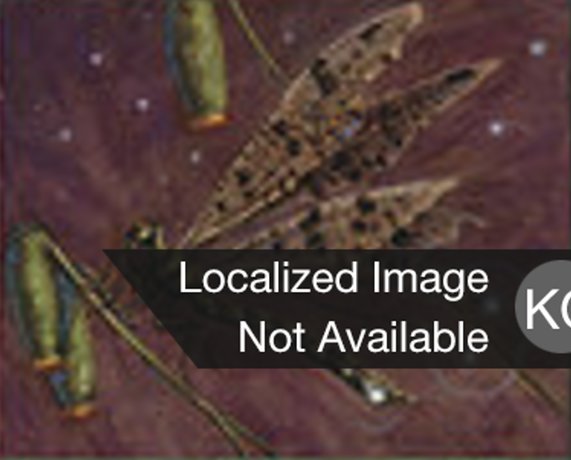 Bayou Dragonfly