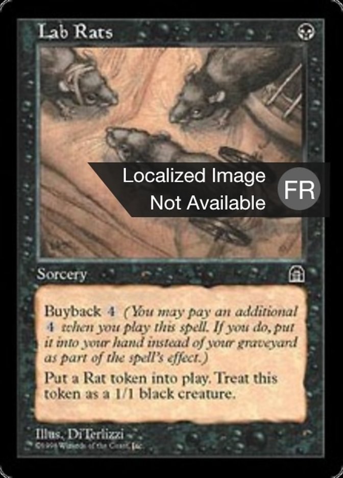 image Rats de laboratoire