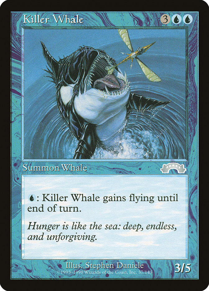 image Killer Whale