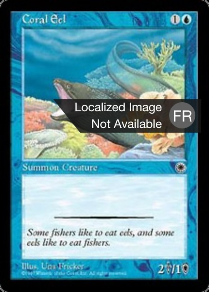 image Anguille des coraux