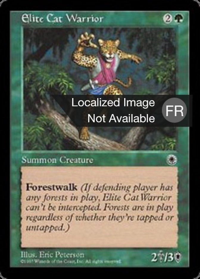 image Guerrier chat d'élite