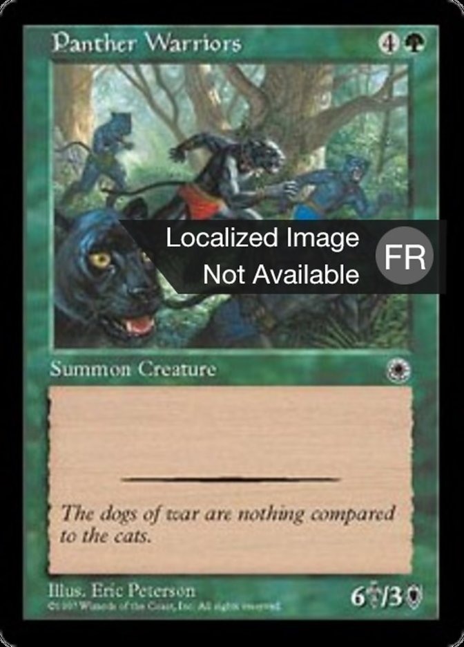 image Guerrières panthères