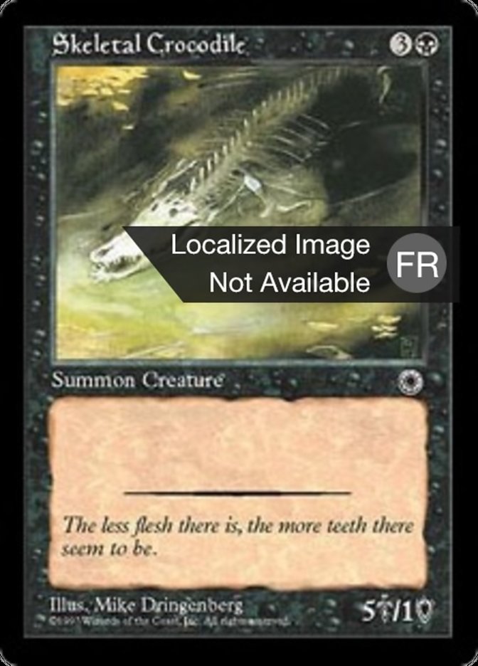 image Crocodile squelette