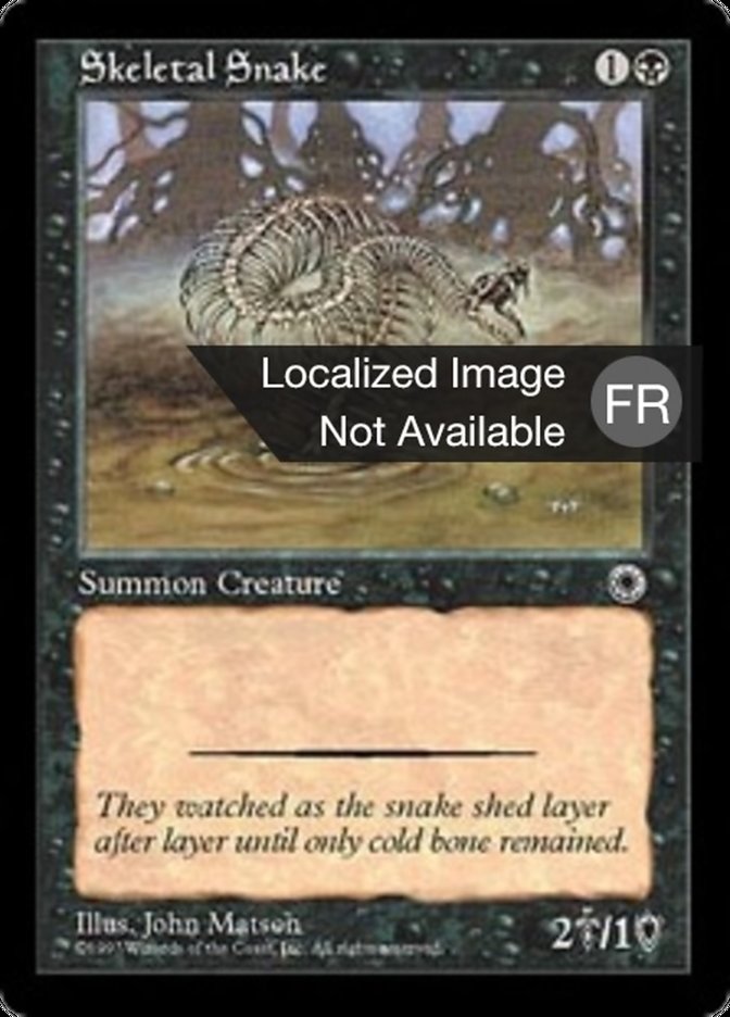 image Serpent squelette