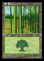 Forest