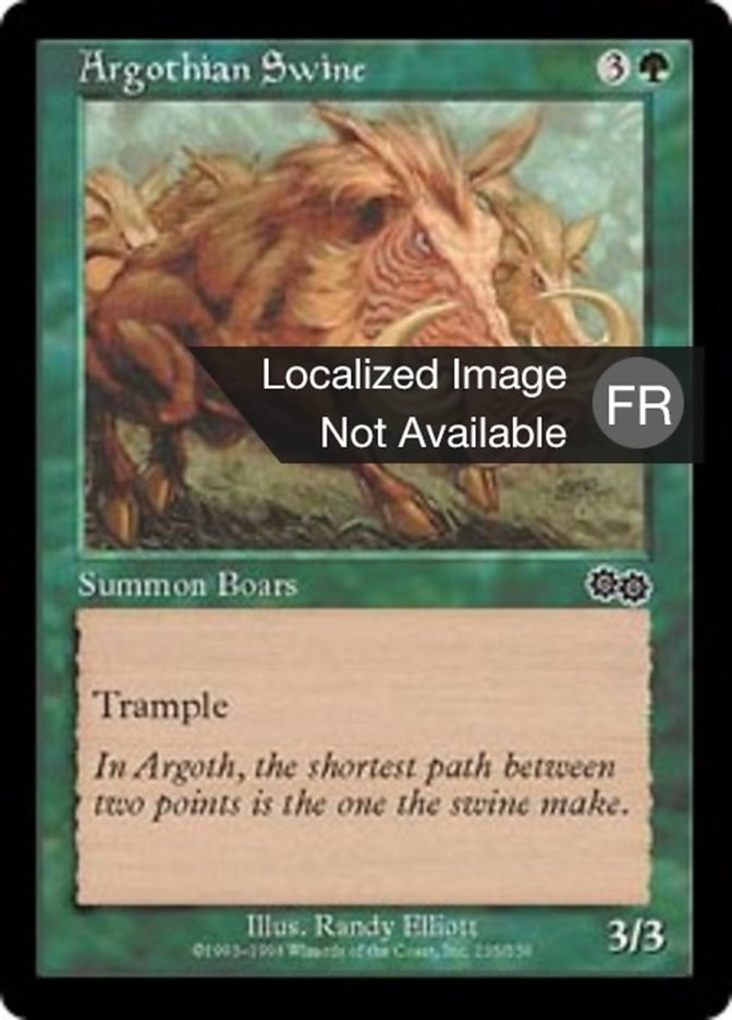 image Cochon sauvage d'Argoth