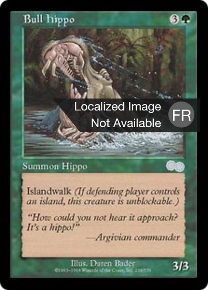 image Hippopotame mâle