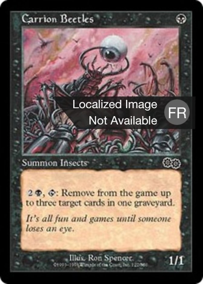 image Scarabées charognards