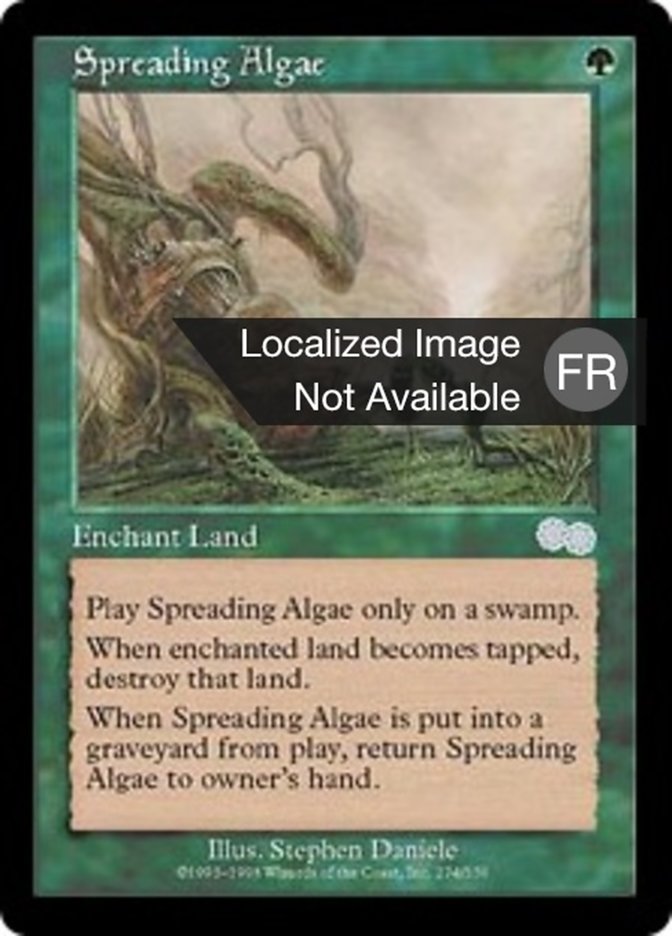 image Algue envahissante