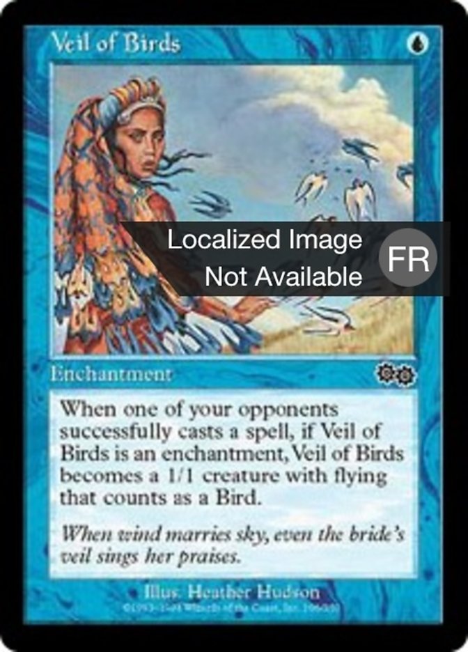 image Voile d'oiseaux