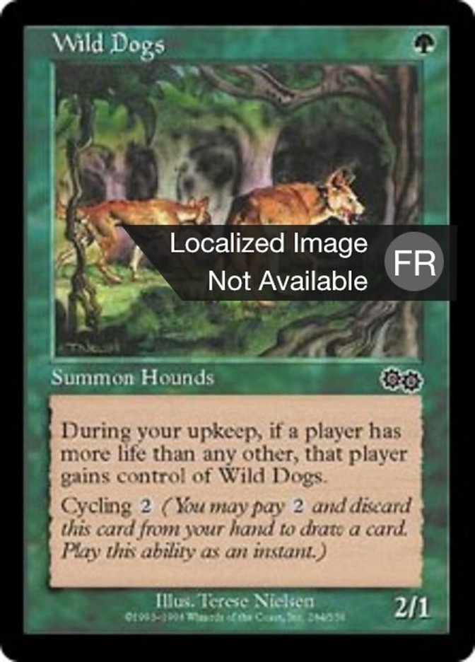 image Chiens sauvages