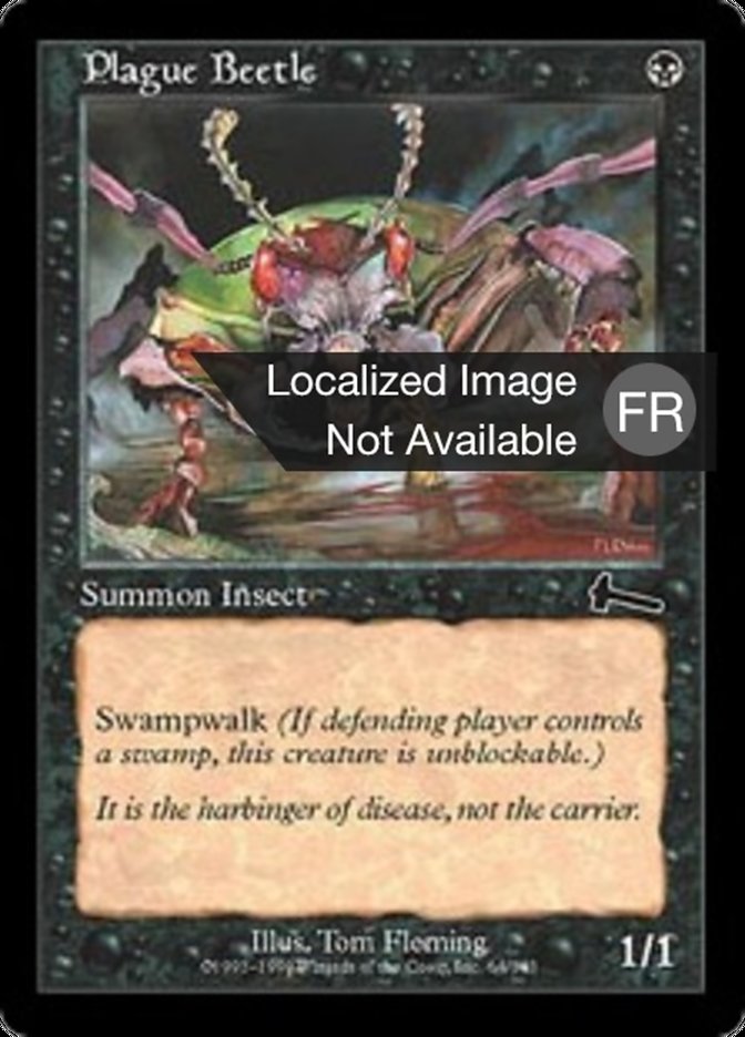 image Scarabée de la Peste