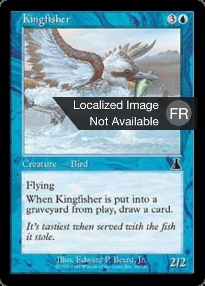 image Martin-Pêcheur