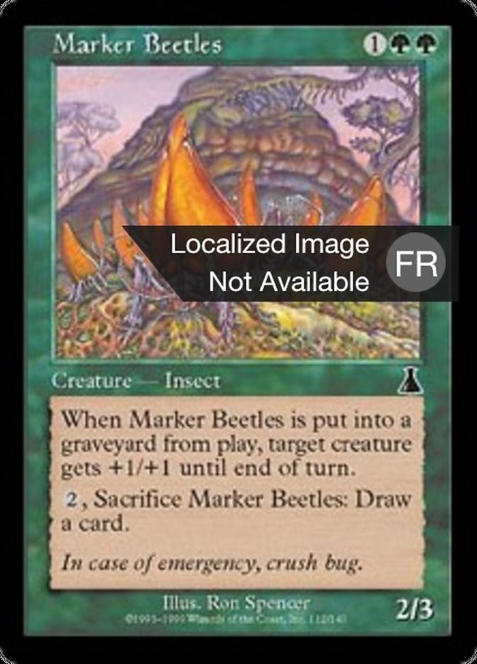 image Scarabées Balises