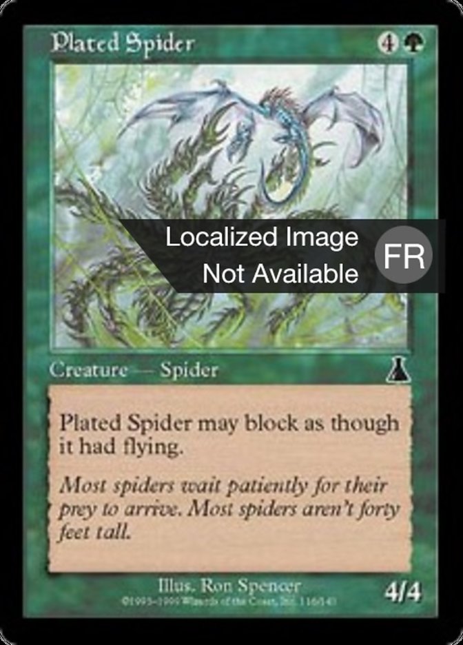 image Araignée à Plaques