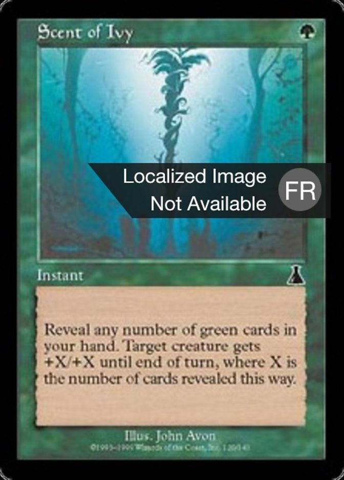 image Senteur de Lierre