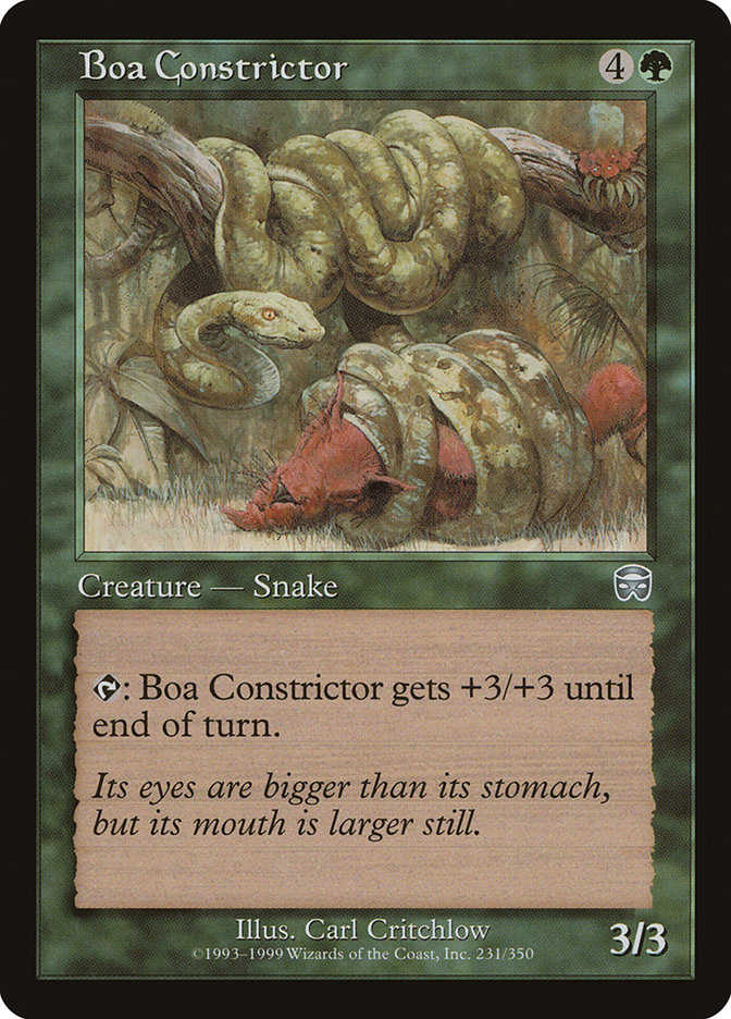 image Boa Constrictor
