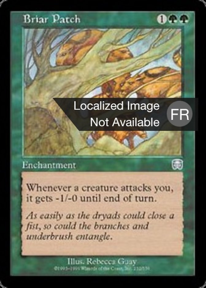 image Parcelle de ronces