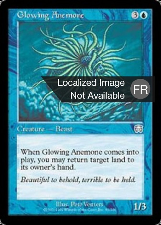 image Anémone rayonnante