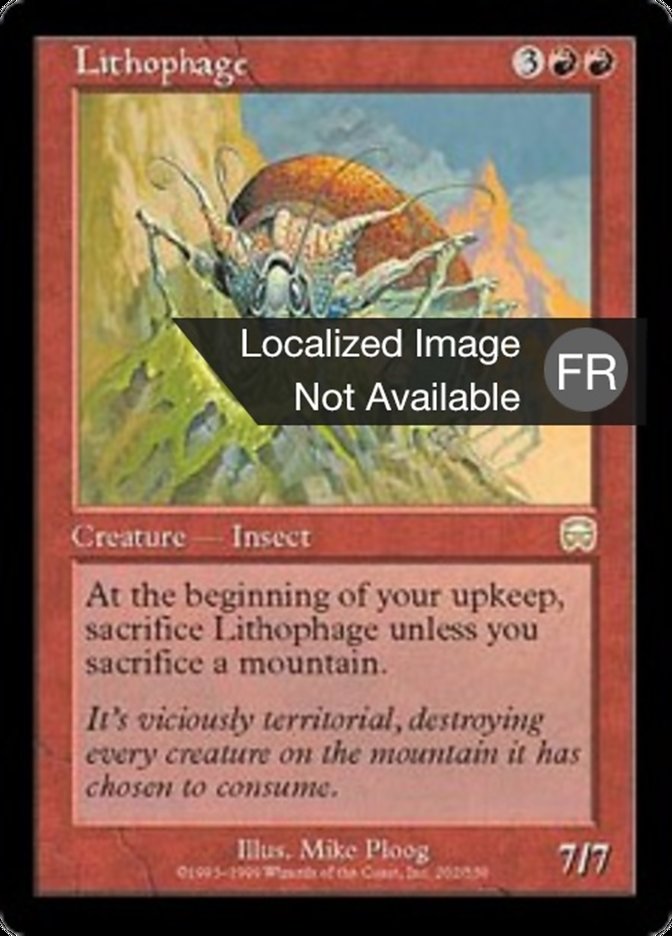 image Lithophage