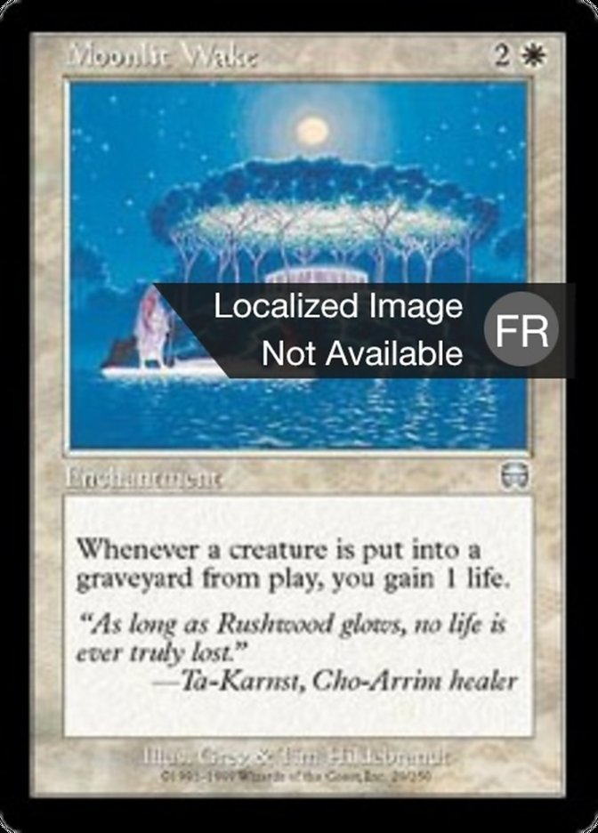 image Veillée au clair de lune