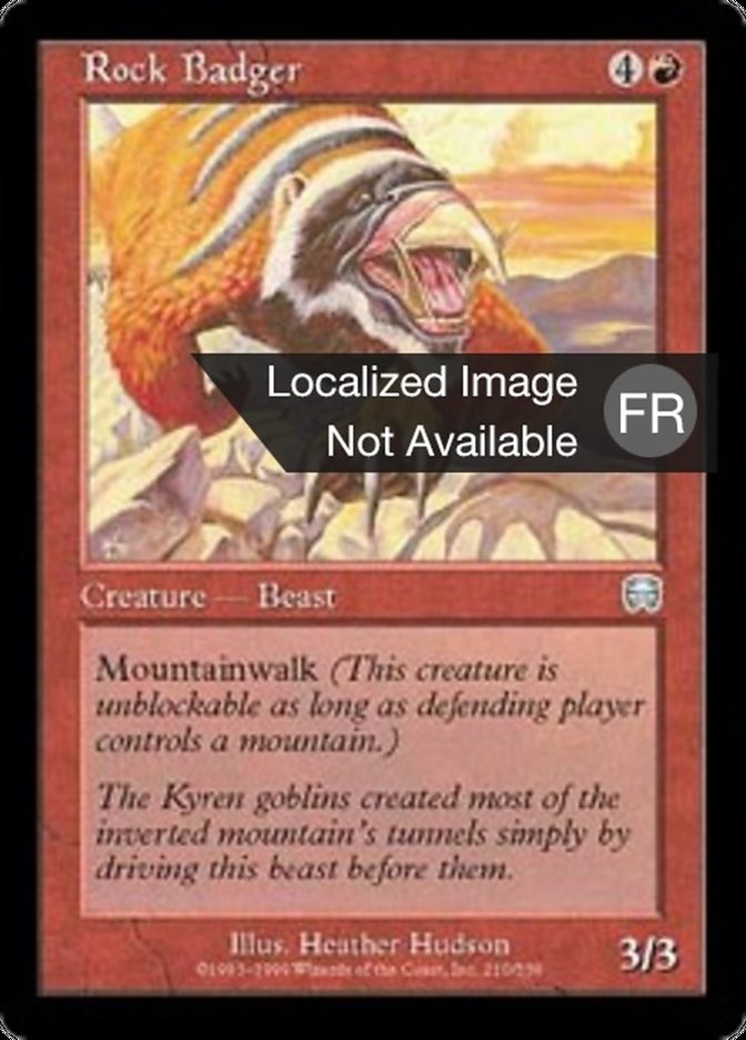 image Blaireau des rochers