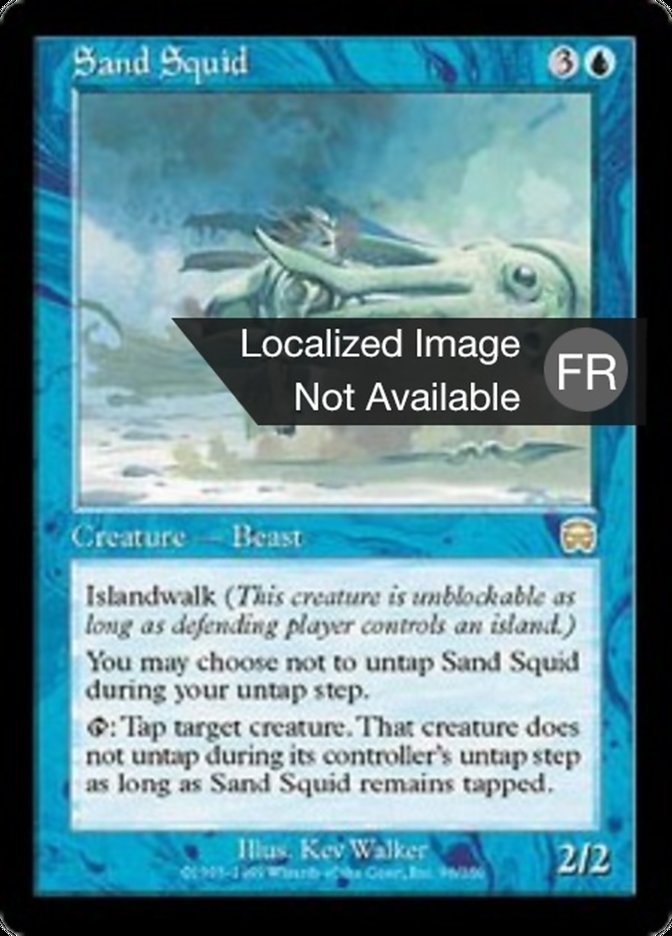 image Calamar des sables